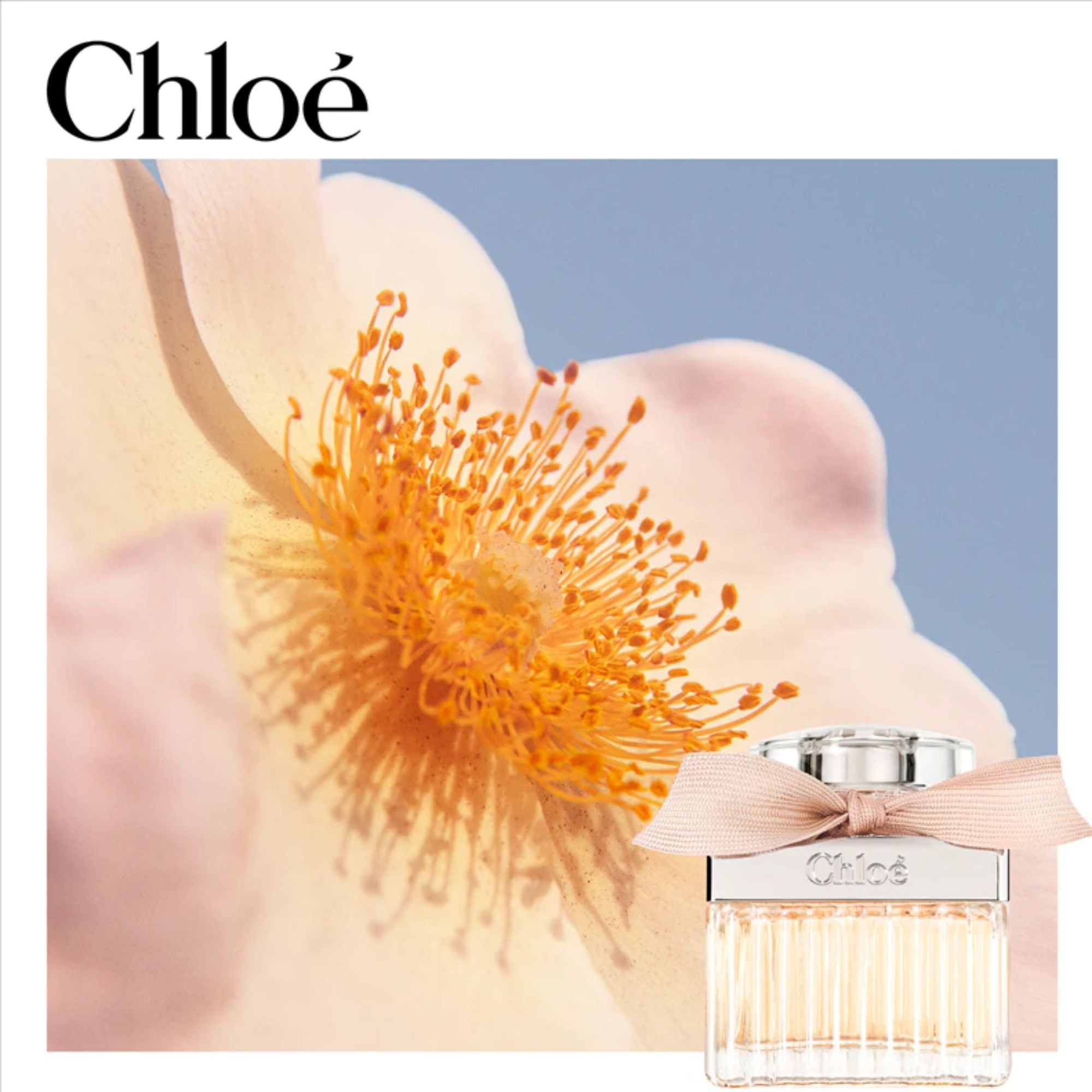 Chloé Eau de Parfum 100 ml