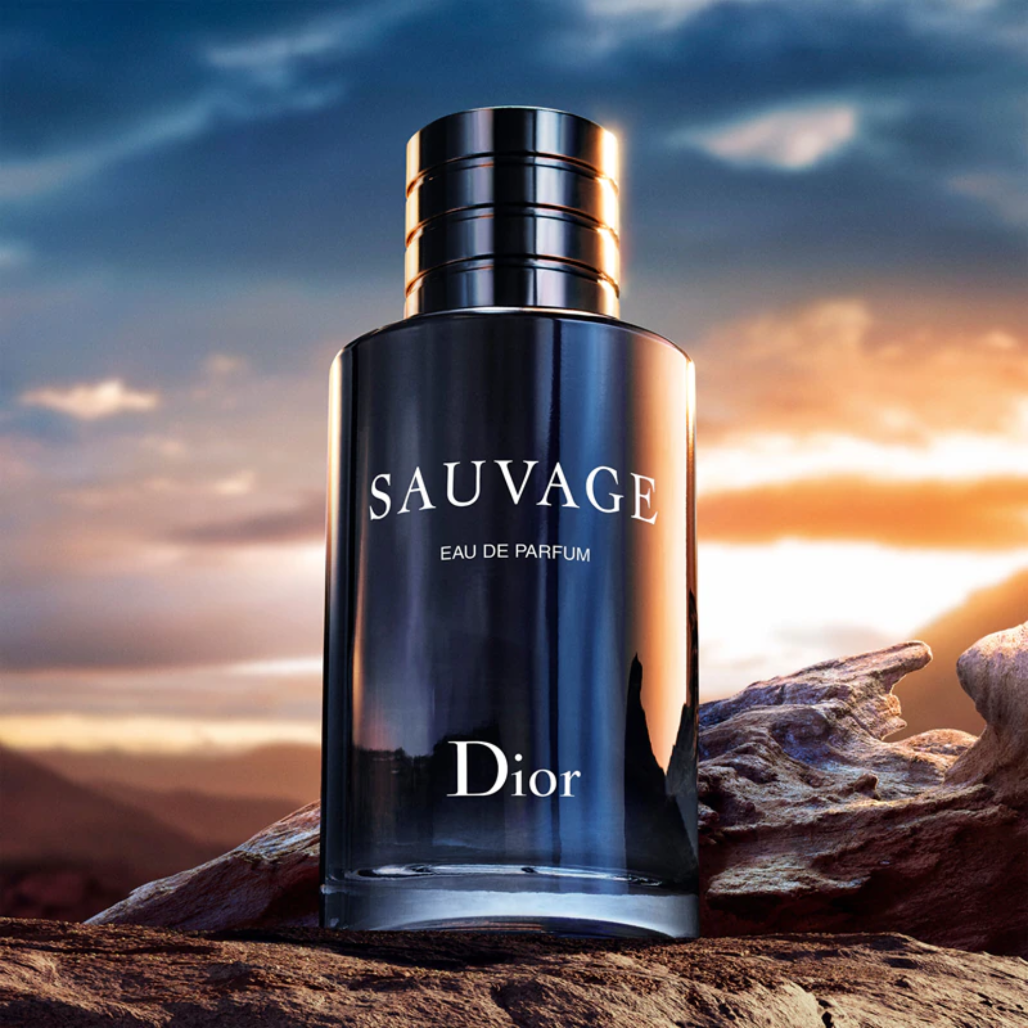Sauvage 100 ml
