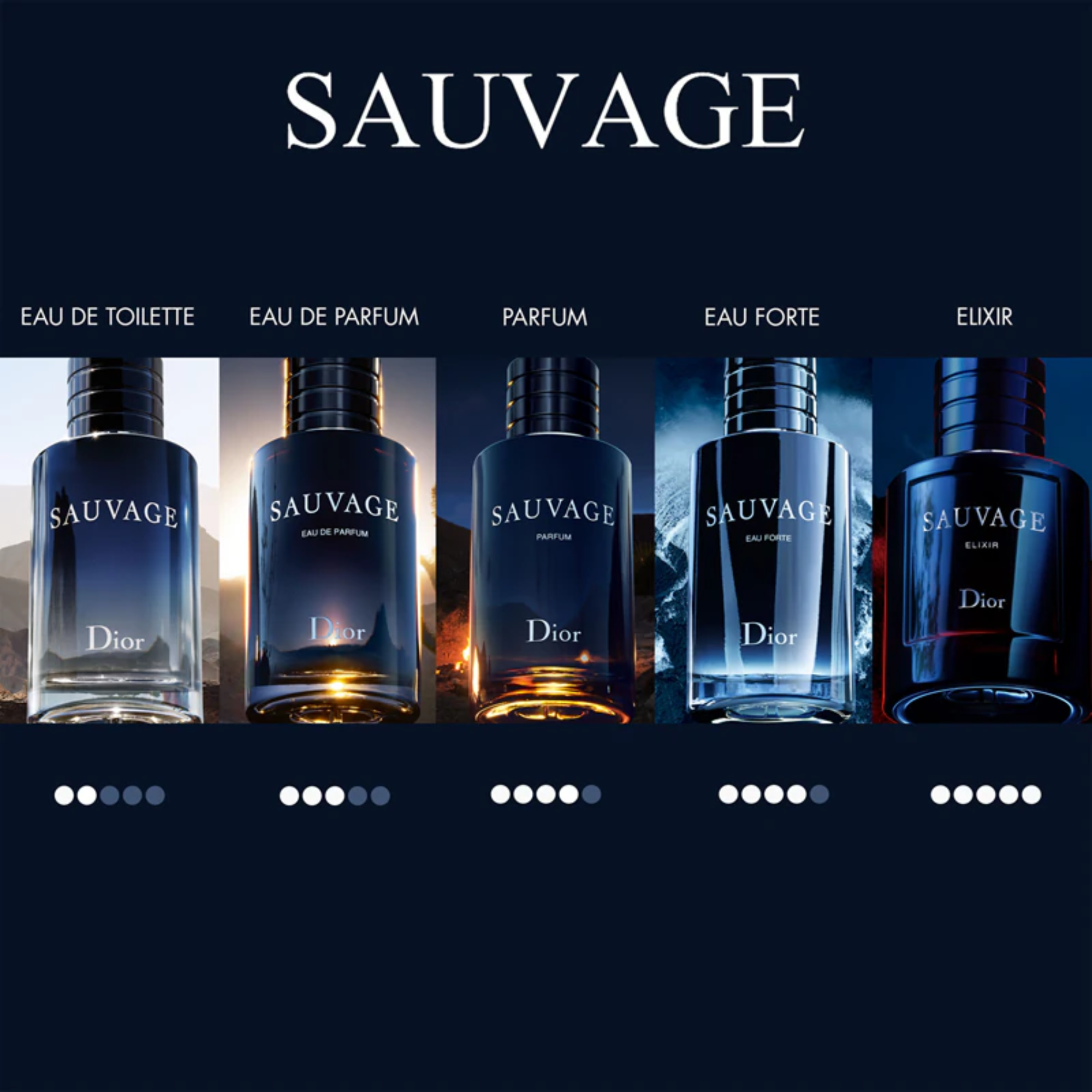 Sauvage 100 ml